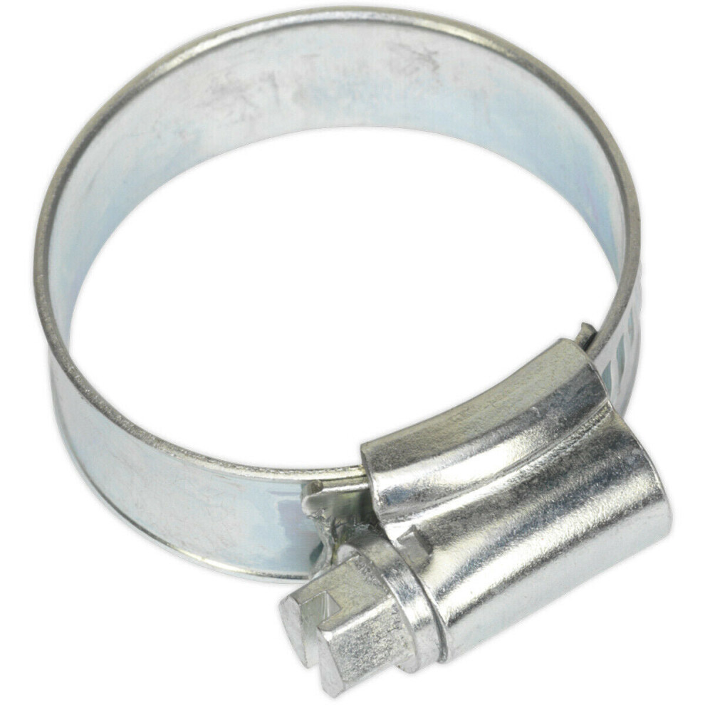30 Pack Zinc Plated Hose Clip - 22 To 32Mm Diameter - External Pressed Threads 5056581918505
