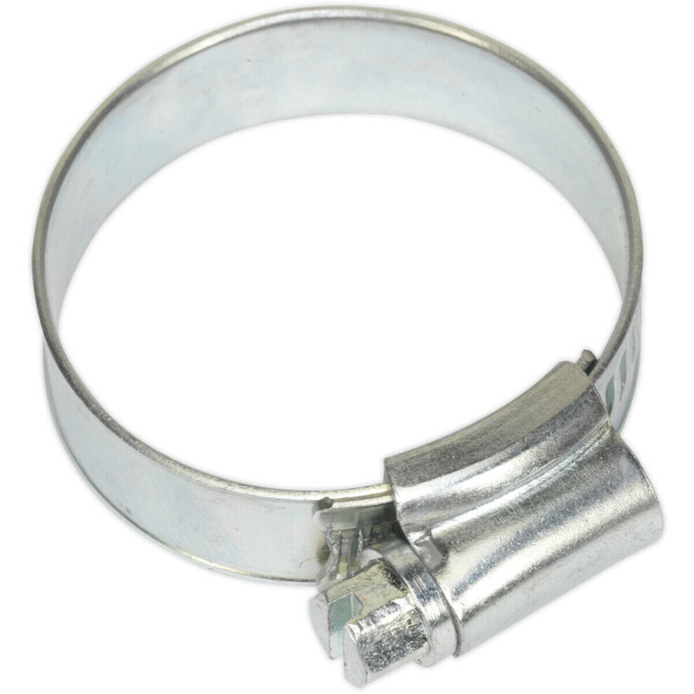 Loops 30 Pack Zinc Plated Hose Clip - 25 To 38Mm Diameter - External Pressed Threads