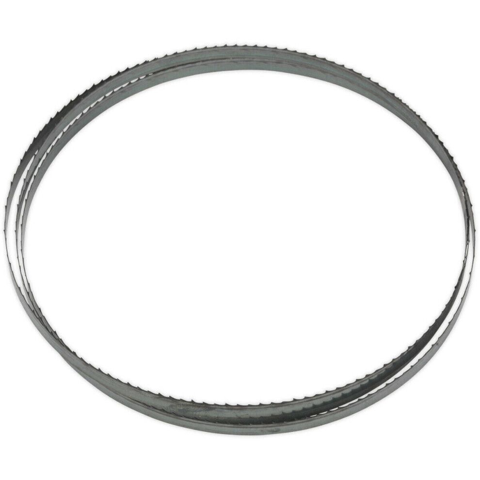 Loops 1712 X 10 X 0.35Mm Bandsaw Blade Hardened Steel Teeth 6 Tpi Wood Plastic Metal