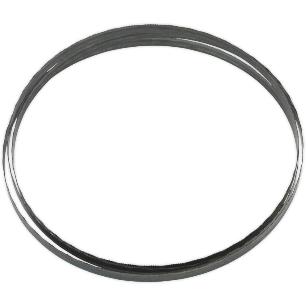 1712 X 10 X 0.35Mm Bandsaw Blade Hardened Steel Teeth 24 Tpi Wood Plastic Metal 5056581919861