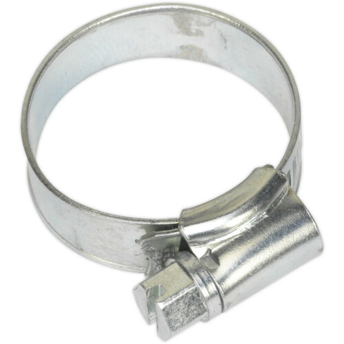 Loops 30 PACK Zinc Plated Hose Clip - 19 to 29mm Diameter - External Pressed Threads