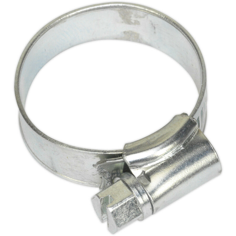 30 Pack Zinc Plated Hose Clip - 19 To 29Mm Diameter - External Pressed Threads 5056581918512