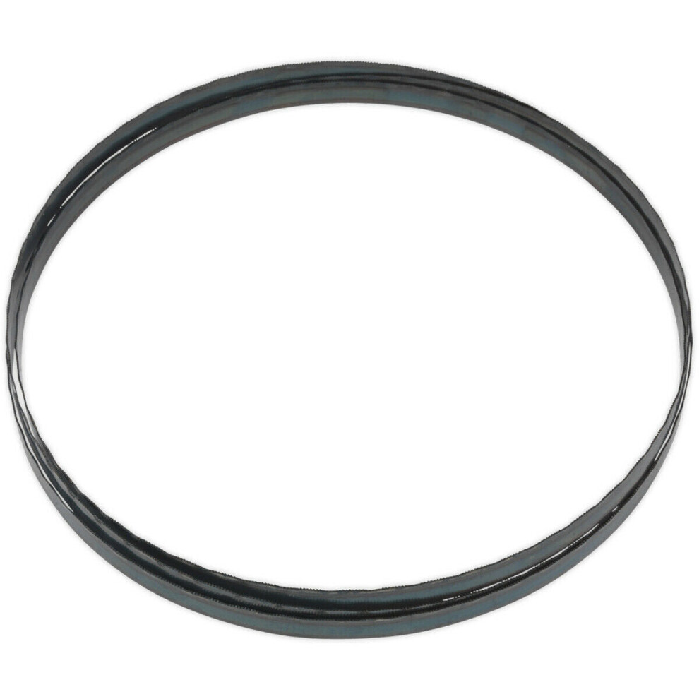 Loops 2240 X 12 X 0.6Mm Bandsaw Blade Hardened Steel Teeth 24 Tpi Wood Plastic Metal