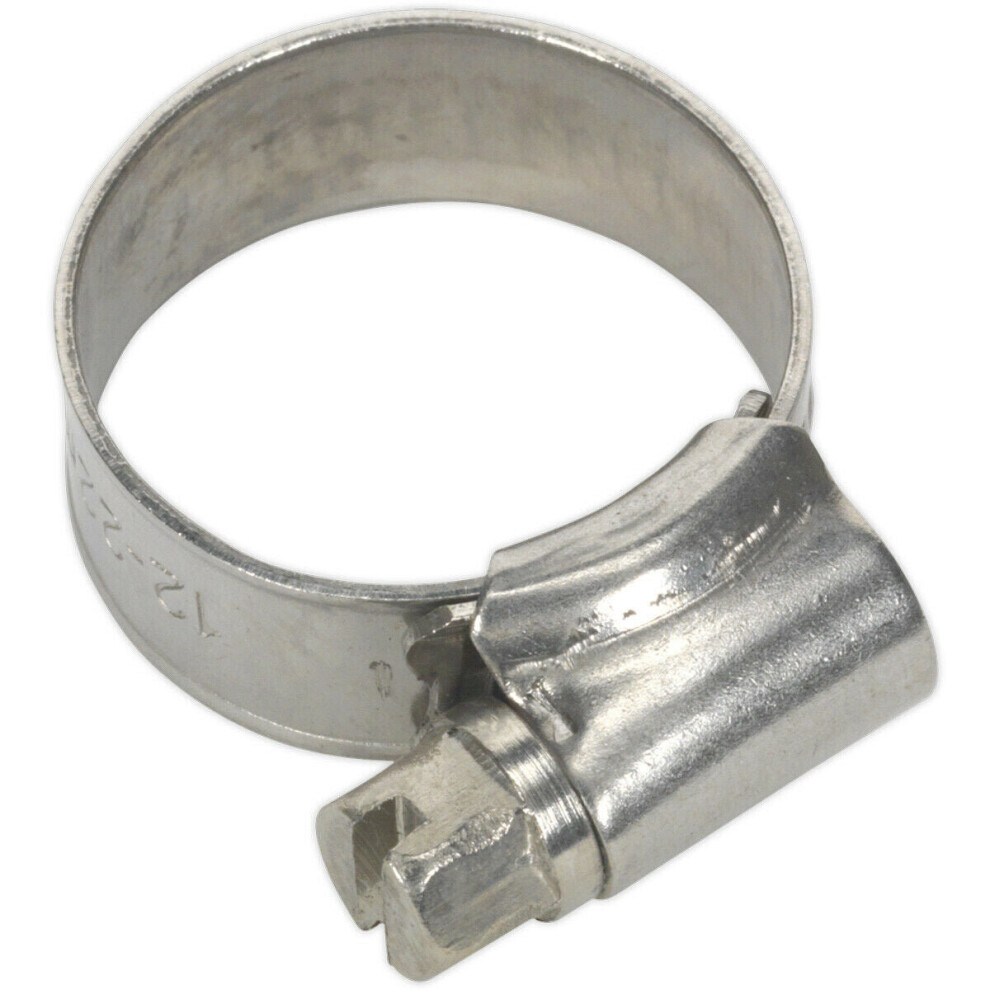 10 Pack Stainless Steel Hose Clip - 16 To 22Mm Diameter - Hose Pipe Clip Fixing 5056581918734
