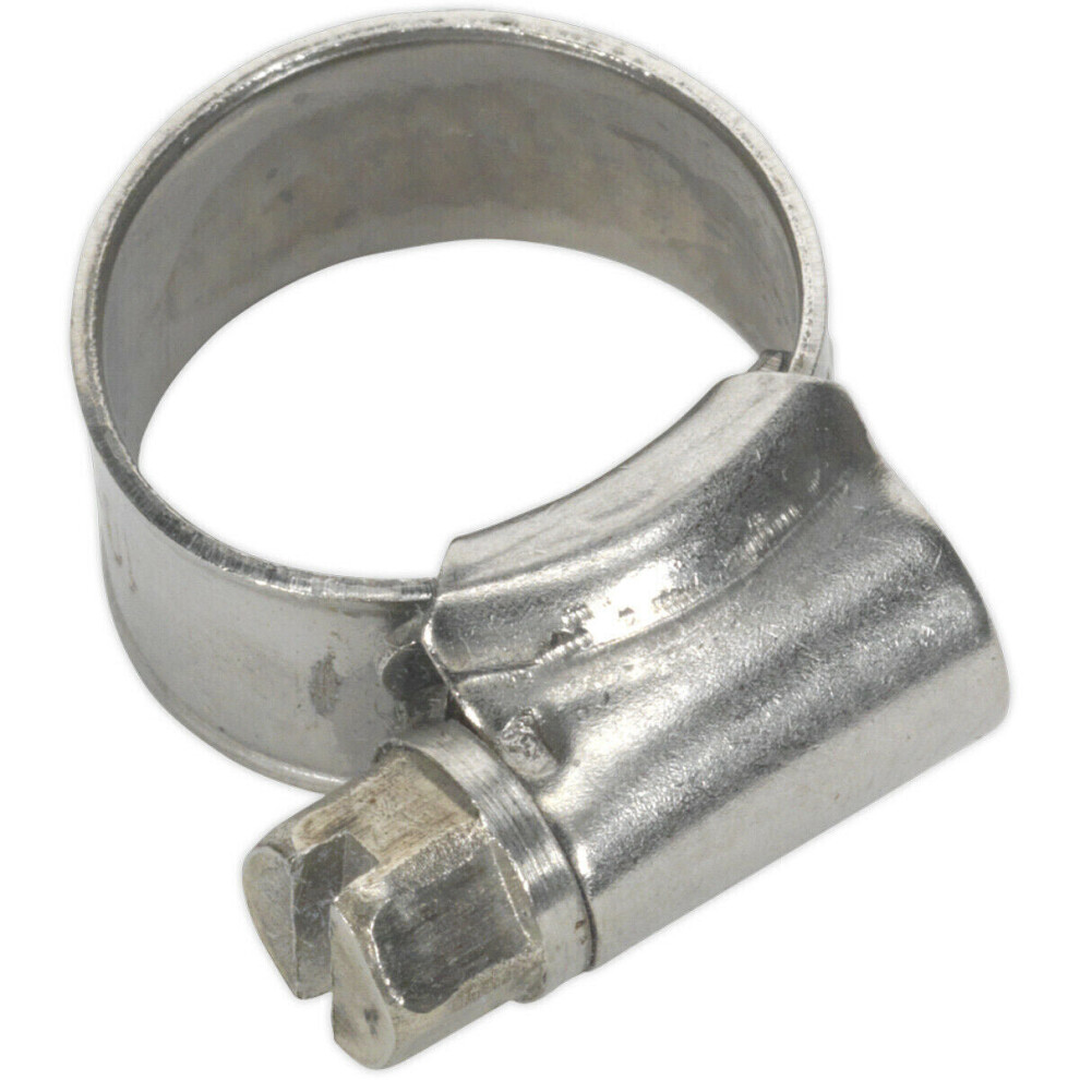 Loops 10 Pack Stainless Steel Hose Clip - 10 To 16Mm Diameter - Hose Pipe Clip Fixing