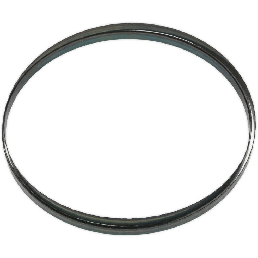 Loops 2400 X 12 X 0.6Mm Bandsaw Blade Hardened Steel Teeth 24 Tpi Wood Plastic Metal
