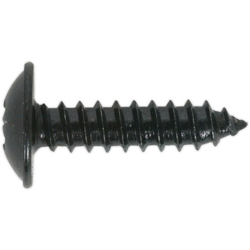 100 PACK 4.8 x 13mm Self Tapping Black Screw - Flanged Pozi Head - Fixings Screw