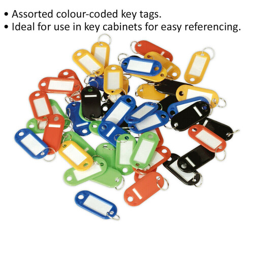 Loops 50 PACK - Various Colour Key Tags - Keyring Fob / Tab - Plastic Name Label ID 1