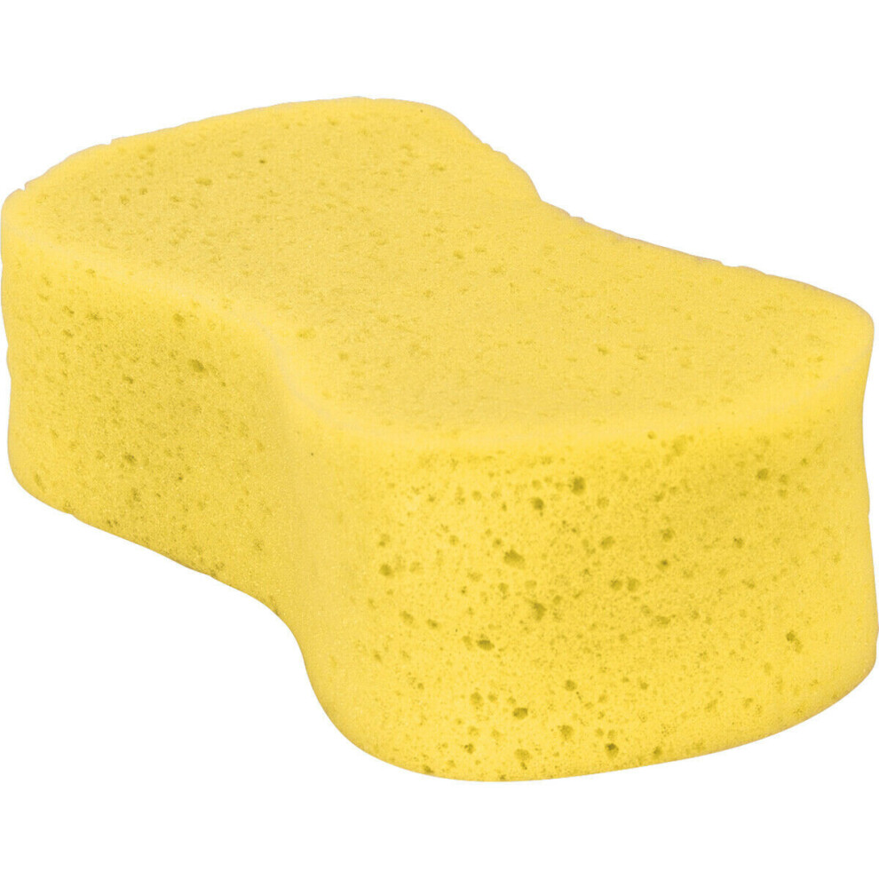 Loops Large General Purpose Sponge - Car Washing & Valeting Sponge - Compressed
