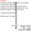 Loops Collapsible Telescopic Left Handed Ergonomic Walking Stick - 5 Height Settings 2