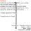 Loops Collapsible Telescopic Right Handed Ergonomic Walking Stick - 5 Height Settings 2
