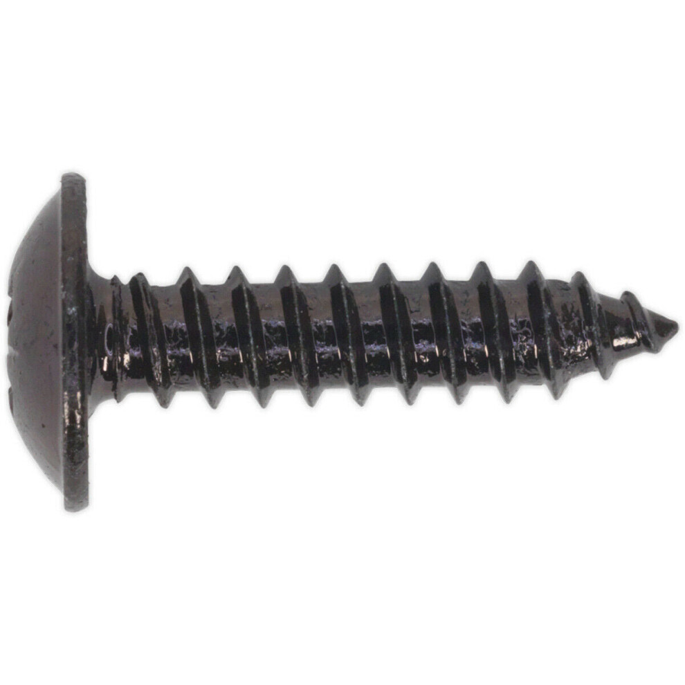 100 PACK 4.8 x 19mm Self Tapping Black Screw - Flanged Pozi Head - Fixings Screw