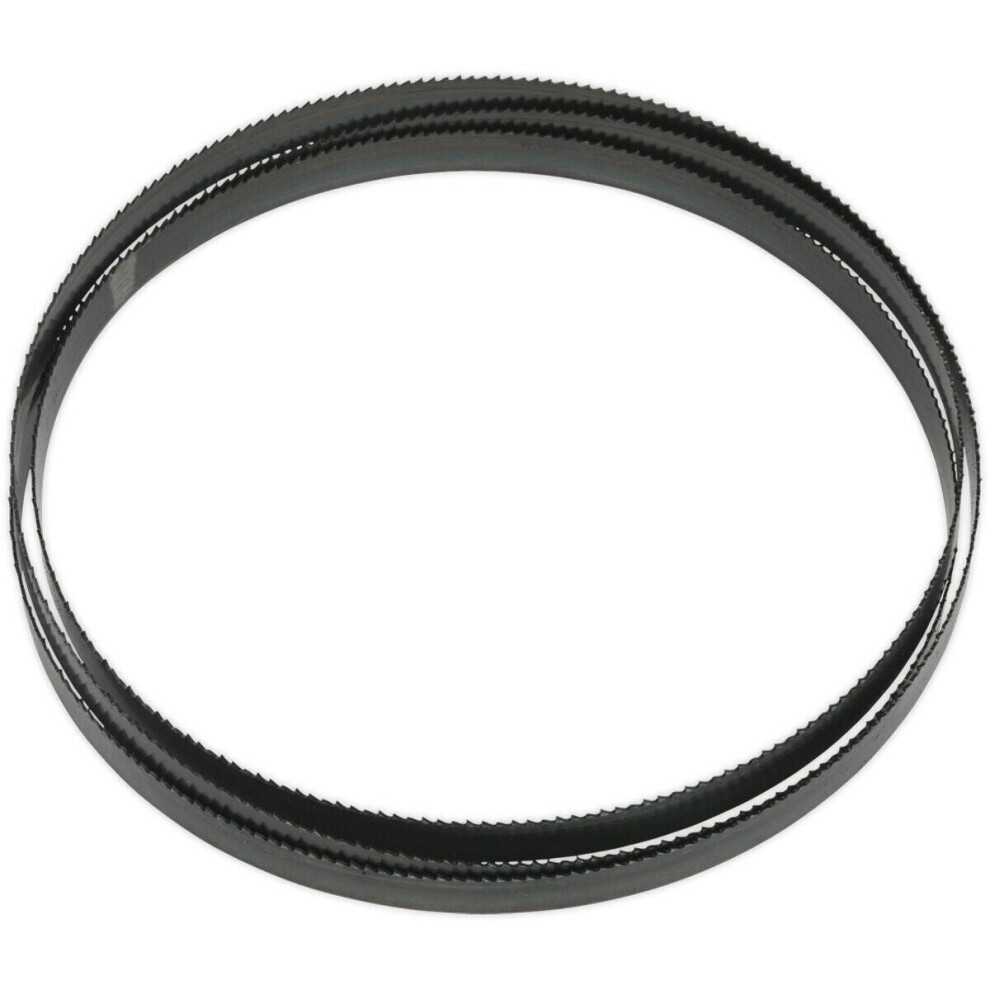 Loops 1638 X 13 X 0.63Mm Bi-Metal Bandsaw Blade - 10 Tpi Hardened Cutting Edges Metal