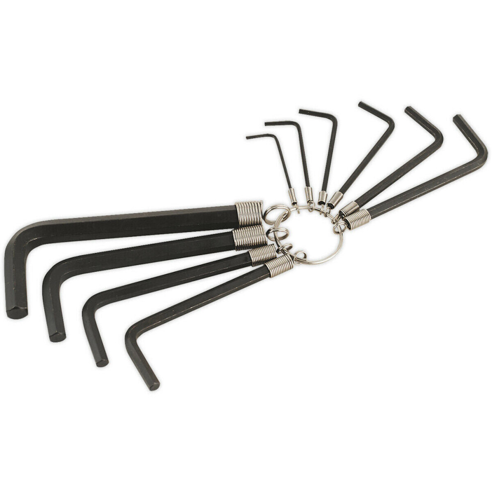 10 Piece Hex Key Set on Ring - Blackened Chrome Steel Allen Keys - 1.5mm to 10mm