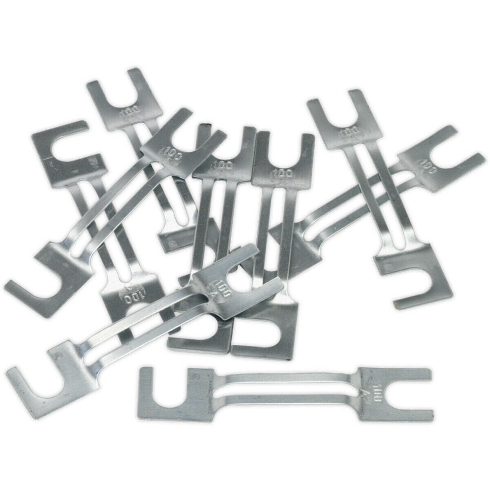 10 Pack 100 Amp Automotive Fuse For Car Starters & Chargers - Vehicle Electrics 5056524234877