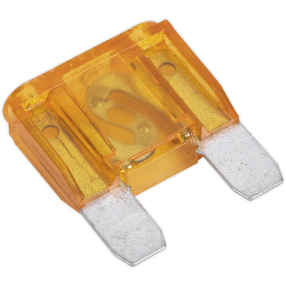 10 PACK 40A Automotive MAXI Blade Fuse Pack - 2 Prong Vehicle Circuit Fuses