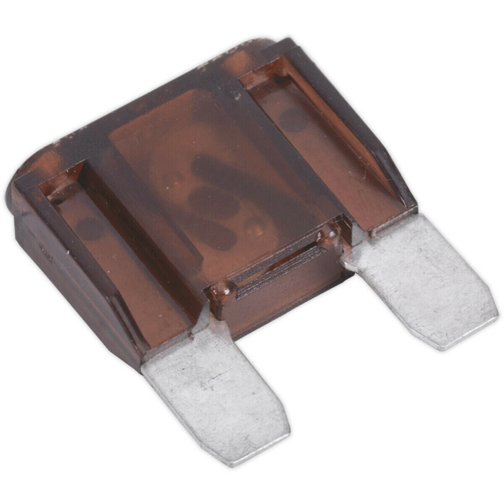 10 Pack 70A Automotive Maxi Blade Fuse Pack - 2 Prong Vehicle Circuit Fuses 5056524288207