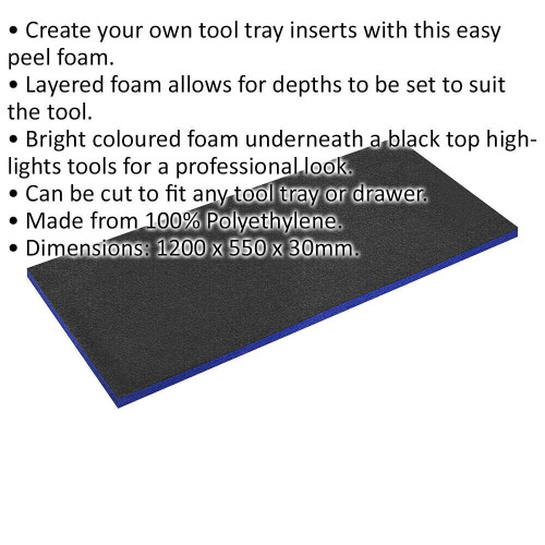 Loops 1200 x 550 x 30mm BLUE Easy Peel / Cut Shadow Foam - Tool Chest / Flight Case 1