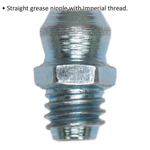 Loops 25 PACK Straight Grease Nipple Fitting - 1/8 Inch BSP Gas Imperial Thread 1