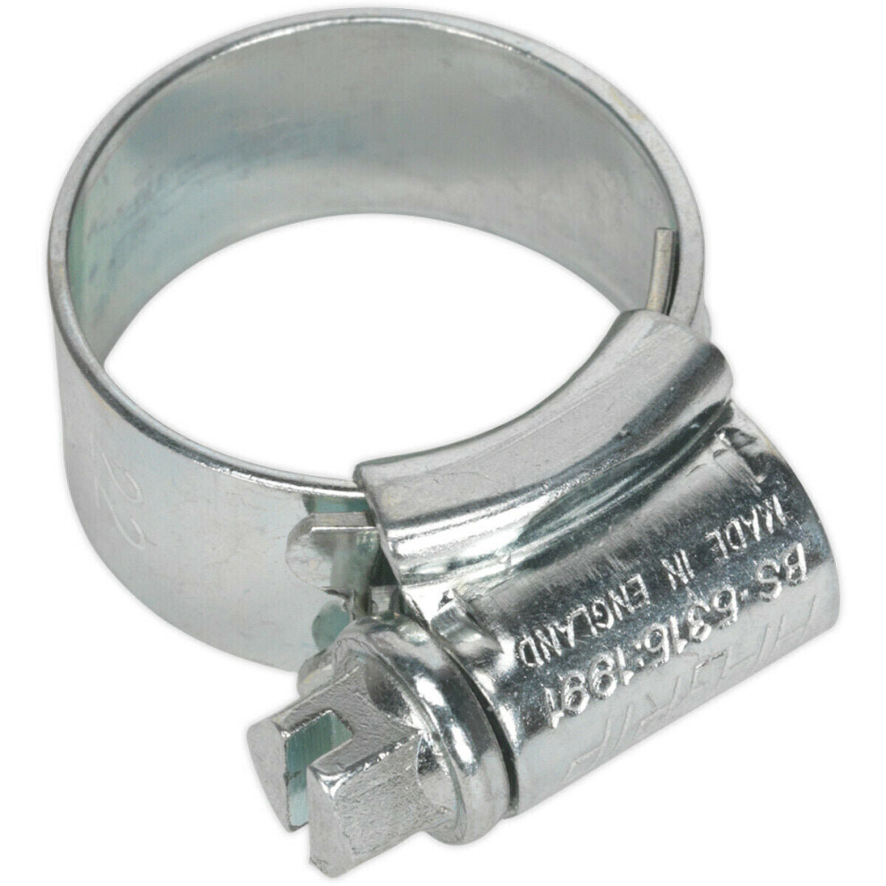 30 Pack Zinc Plated Hose Clip - 14 To 22Mm Diameter - External Pressed Threads 5056524279328