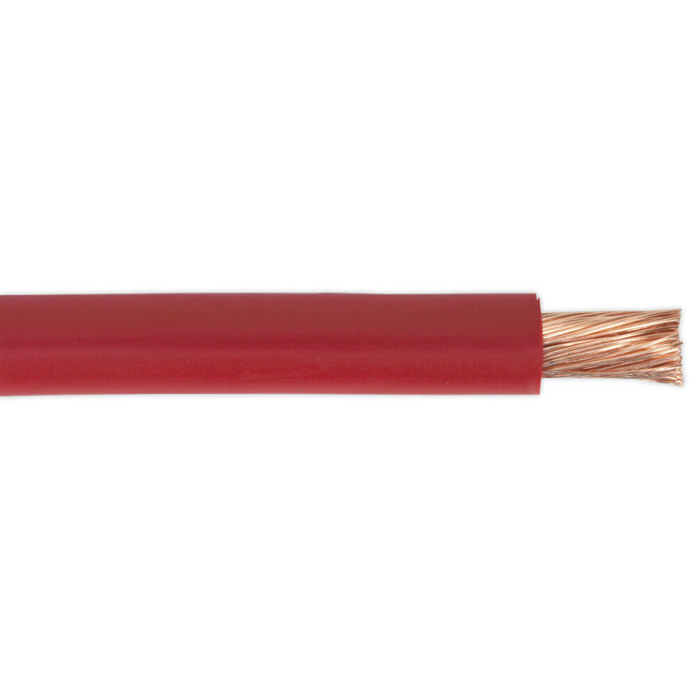 Loops 10M Automotive Starter Cable - 170 Amp - Single Core - Copper Conductor - Red