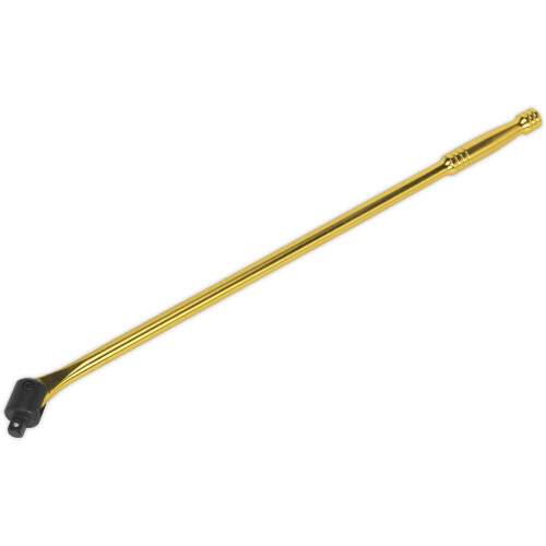 Loops 600mm Breaker Pull Bar - Replaceable 1/2" Sq Drive Knuckle - Gold Chrome Finish