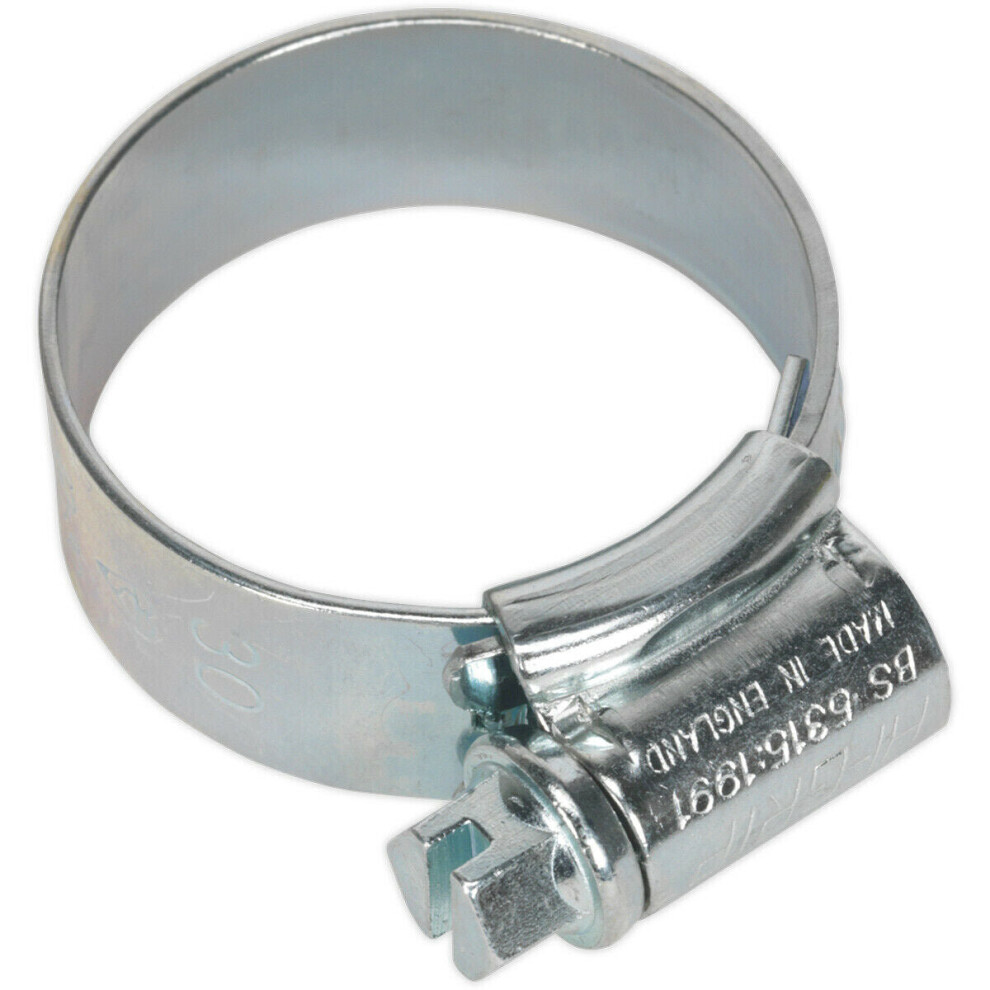 20 Pack Zinc Plated Hose Clip - 22 To 30Mm Diameter - External Pressed Threads 5056524279373
