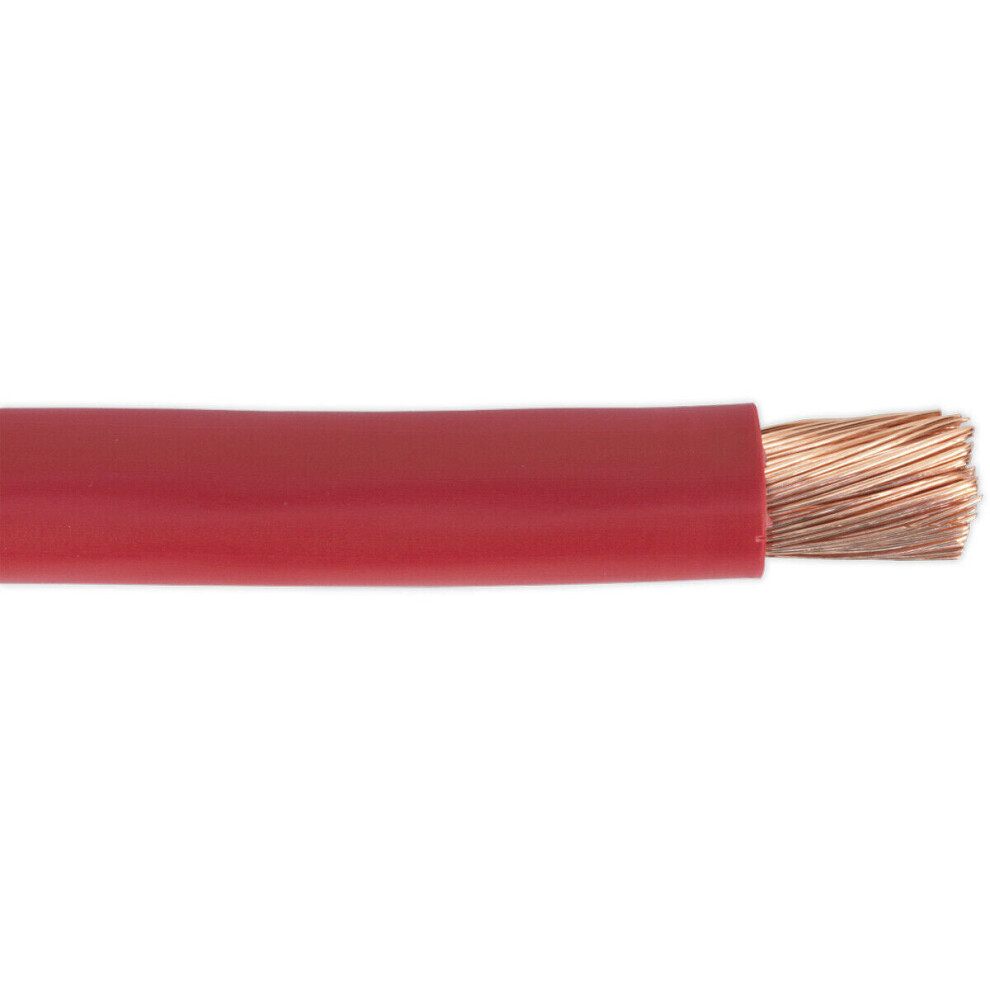 Loops 10M Insulated Automotive Starter Cable - 300A - Single Core Conductor - Black