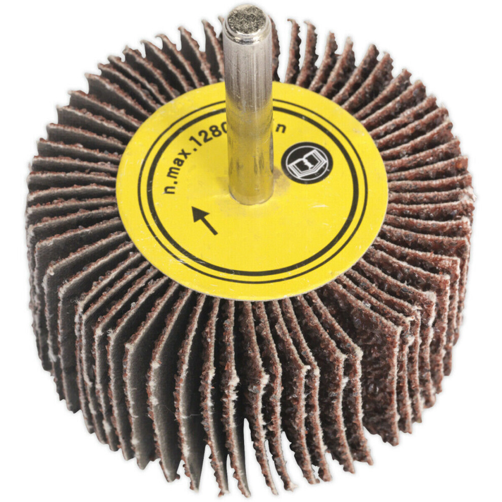 25 X 10Mm Aluminium Oxide Flap Wheel - 6Mm Shaft - 60 Grit - Abrasive Sanding 5056524277218