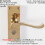 Loops 4x PAIR Victorian Scroll Handle on Bathroom Backplate 120 x 41mm Polished Brass 2