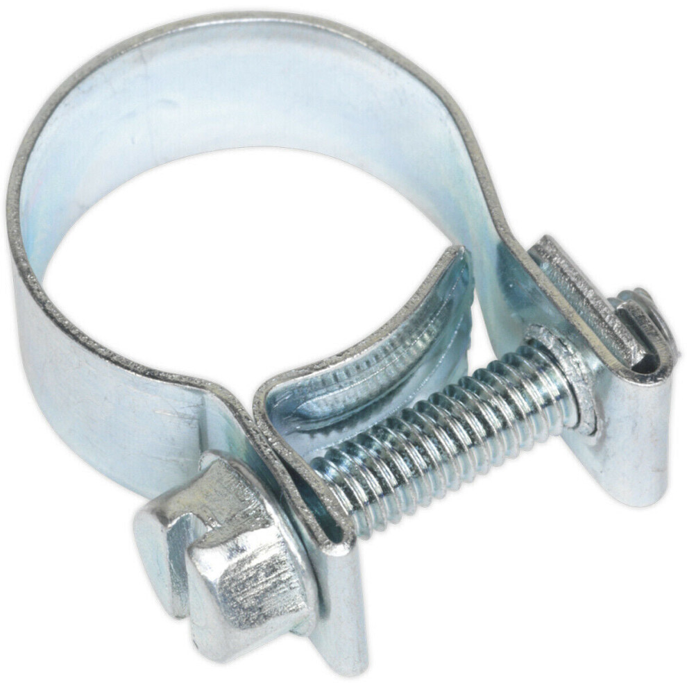 Loops 20 Pack Zinc Plated Mini Hose Clip - 15 To 17Mm Diameter - Hose Pipe Clip Fixing