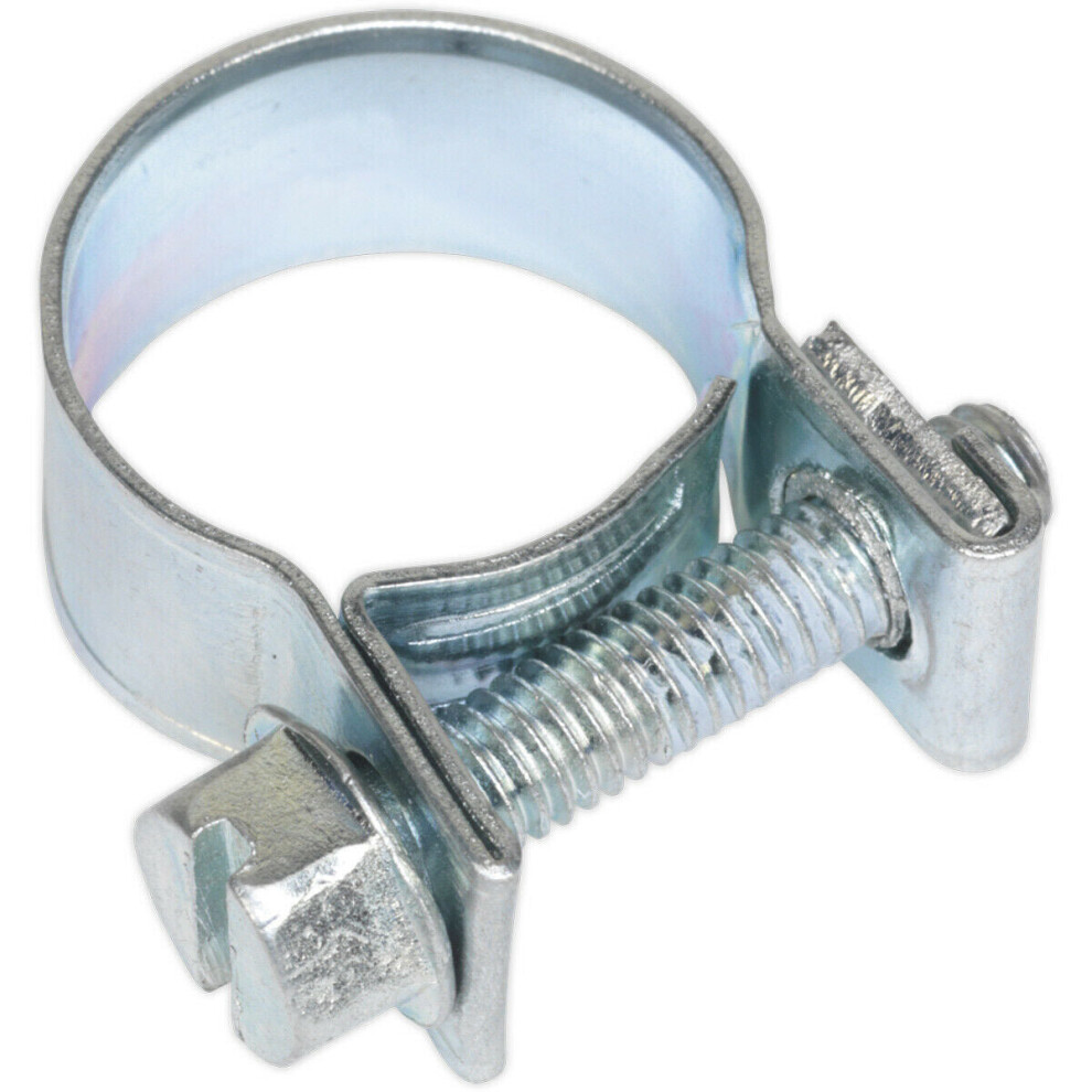 Loops 30 Pack Zinc Plated Mini Hose Clip - 13 To 15Mm Diameter - Hose Pipe Clip Fixing