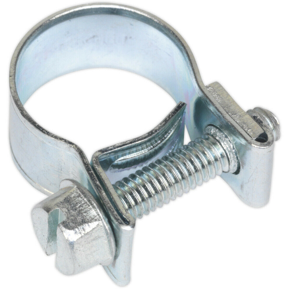 30 Pack Zinc Plated Mini Hose Clip - 12 To 14Mm Diameter - Hose Pipe Clip Fixing 5056524288405