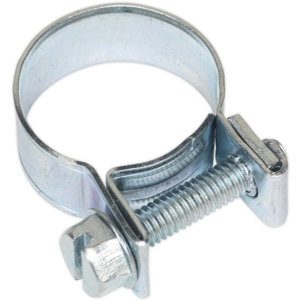 20 Pack Zinc Plated Mini Hose Clip - 16 To 18Mm Diameter - Hose Pipe Clip Fixing 5056524288443