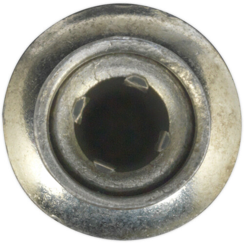 Loops 100 PACK - 6.3mm x 32mm Structural Steel Rivets - Zinc Plated Compression Pins 2