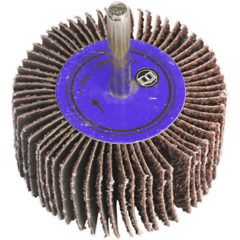 40 x 30mm Aluminium Oxide Flap Wheel - 6mm Shaft - 40 Grit - Abrasive Sanding