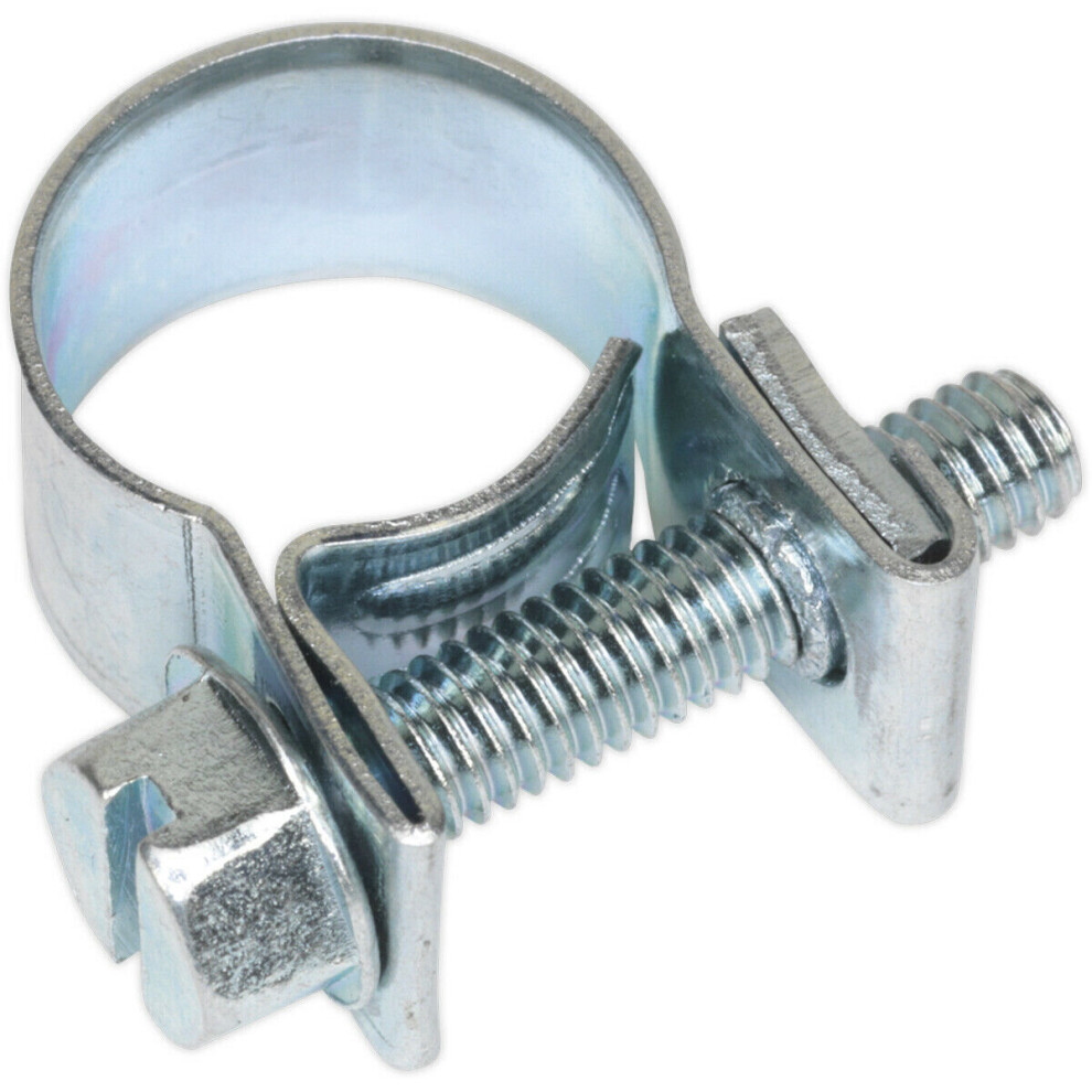 Loops 30 Pack Zinc Plated Mini Hose Clip - 10 To 12Mm Diameter - Hose Pipe Clip Fixing