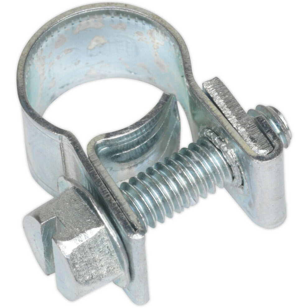 30 Pack Zinc Plated Mini Hose Clip - 8 To 10Mm Diameter - Hose Pipe Clip Fixing 5056524288467