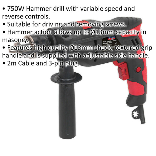 Loops 750W Heavy Duty Hammer Drill - 13mm Chuck - Variable Speed - Reverse Controls 1