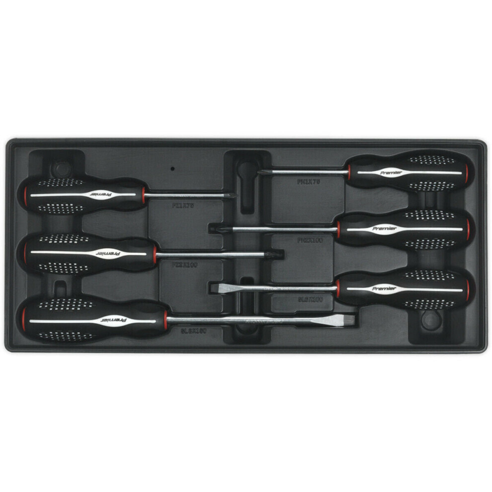 6 Piece PREMIUM Screwdriver Set with Modular Tool Tray - Tool Storage Organizer