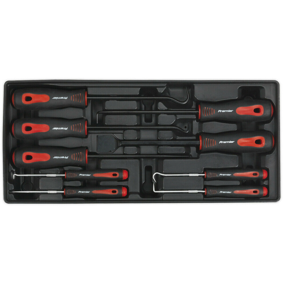 9 Pc PREMIUM Scraper & Hook Set with Modular Tool Tray - Tool Storage Organizer