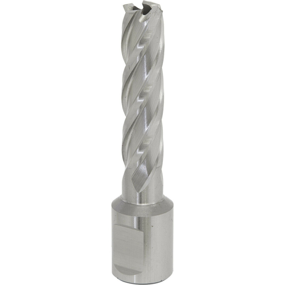 13Mm X 50Mm Depth Rotabor Cutter - M2 Steel Annular Metal Core Drill 19Mm Shank 5056524297643