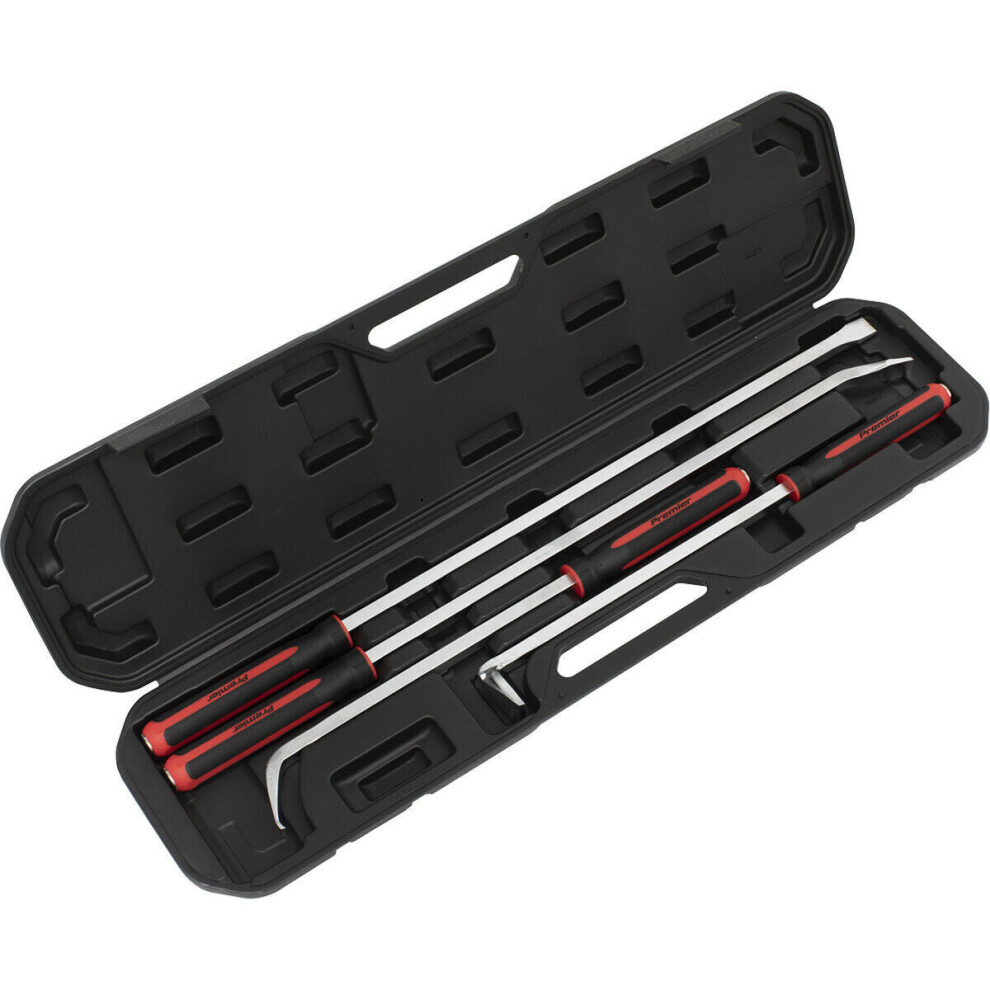 4 Piece Heavy Duty Pry Bar Set - Hammer Cap - Soft Grip Handles - Storage Case