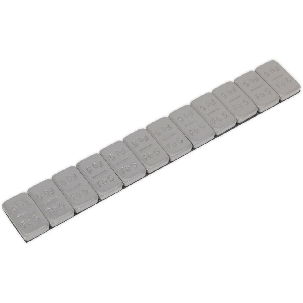 100 PACK 5g Adhesive Wheel Weights - Strip of 12 - Plastic Coated Steel