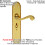 Loops 2x PAIR Beaded Pattern Handle on Bathroom Backplate 249 x 50mm Polished Brass 2