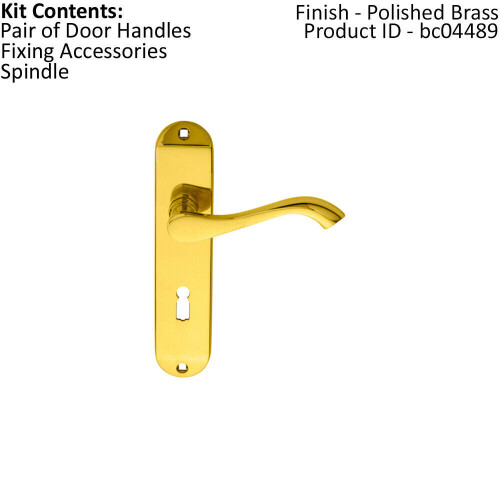 Loops PAIR Curved Handle on Chamfered Lock Backplate 180 x 40mm Polished Brass 1
