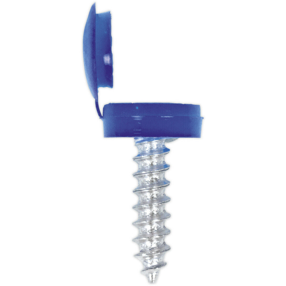 50 PACK 4.2 x 19mm Blue Numberplate Screw with Flip Cap - Plastic Enclosed Head