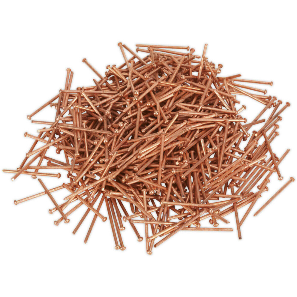 500 PACK - 2.5mm x 50mm Stud Welding Nails - Car Dent Copper Pulling Spot Pins