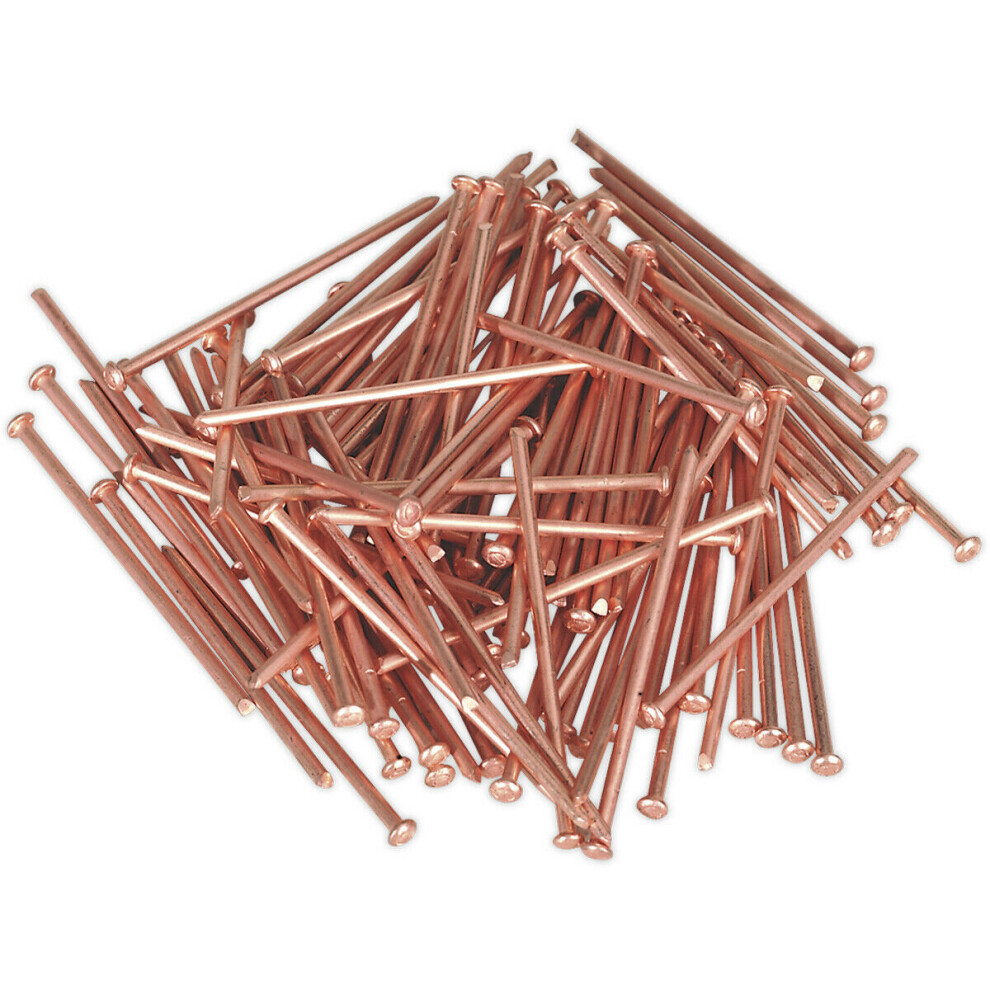 100 Pack - 2Mm X 50Mm Stud Welding Nails - Car Dent Copper Pulling Spot Pins 5056524295038