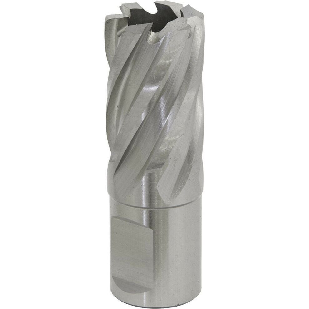 21mm x 25mm Depth Rotabor Cutter - M2 Steel Annular Metal Core Drill 19mm Shank